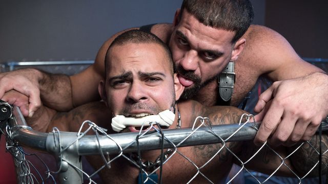 Bromo - Pet play and BDSM anal with Ricky Larkin and Lorenzo Flexx
