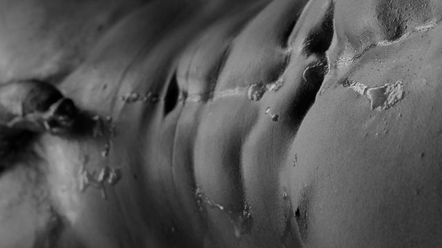 Gay Hoopla - B&W video starring Austin Anderson and his classic cock