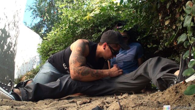 Gay Room - A very public blowjob session with Matty D