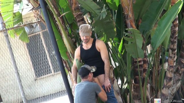 Gay Room - Public oral with Tristan Mathews is just the hottest