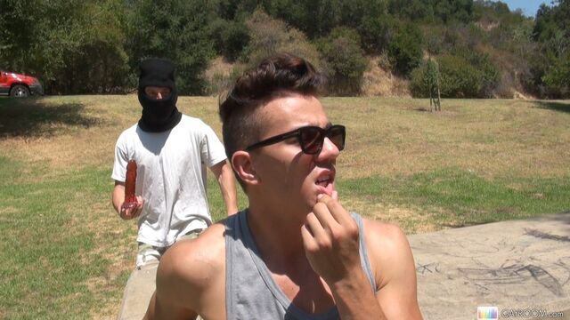 Gay Room - This Seth Roberts movie is going to be pretty crazy