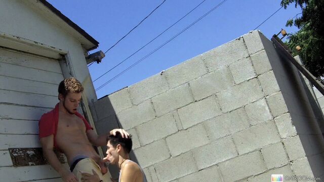 Gay Room - Quick public fellatio session featuring horny Alec Grey