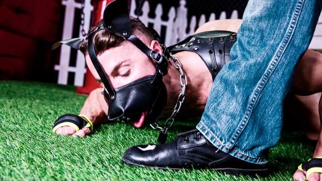 Hot House - Gay puppy love with a double facial at the end