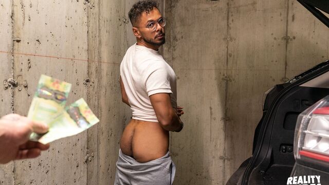 Reality Dudes - Great semi-POv anal video starring Ryan Bones and his bottom, Milo